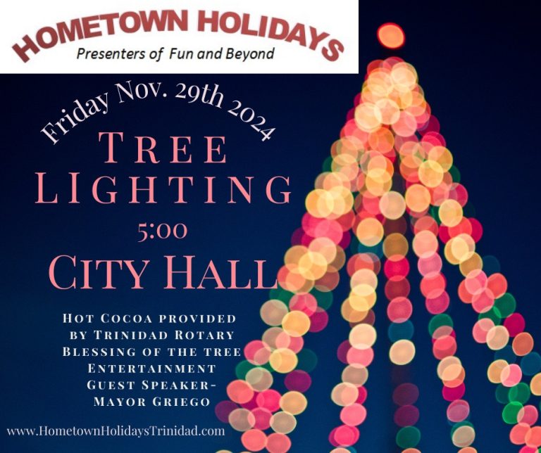 2024 Christmas tree lighting