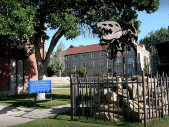 Louden-Henritze Archaeology Museum