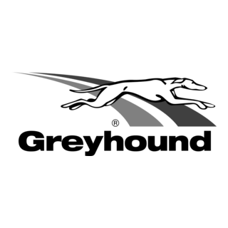 Greyhound